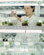 三对十种违法行为的行政惩罚力度